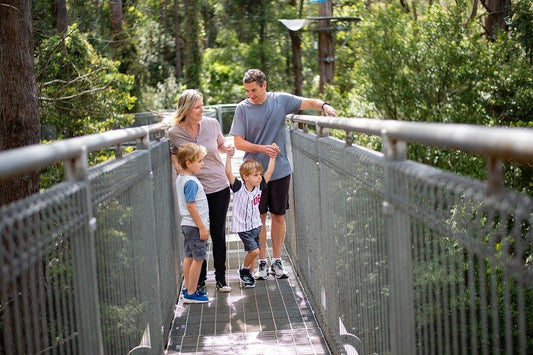 Otway Fly Treetop Adventures Treetop Walk