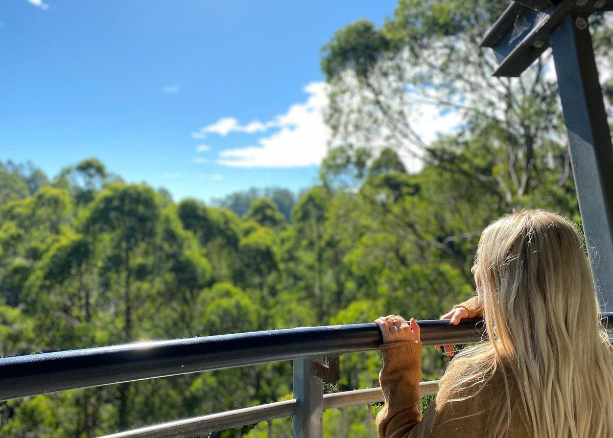 Otway Fly Treetop Adventures Treetop Walk